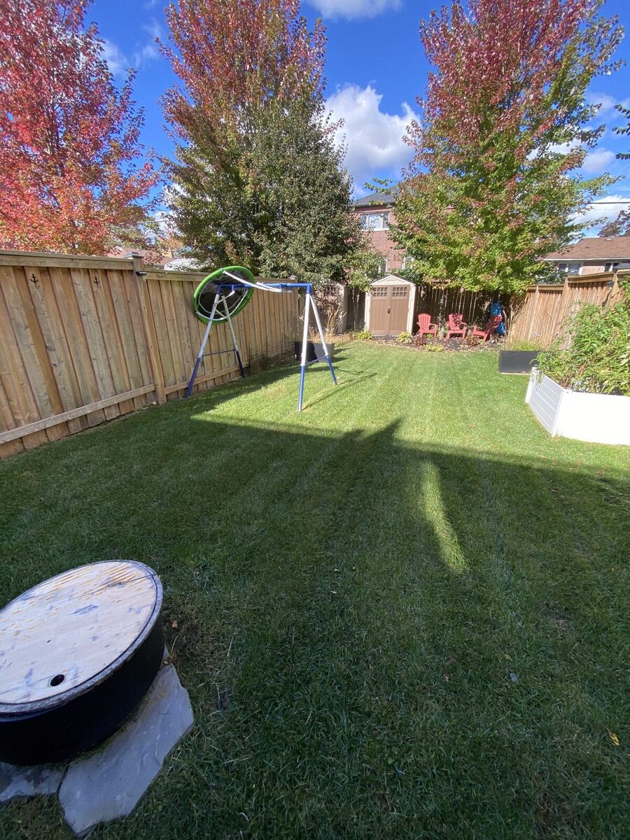 Fall Colour — O'Doherty's Property Services