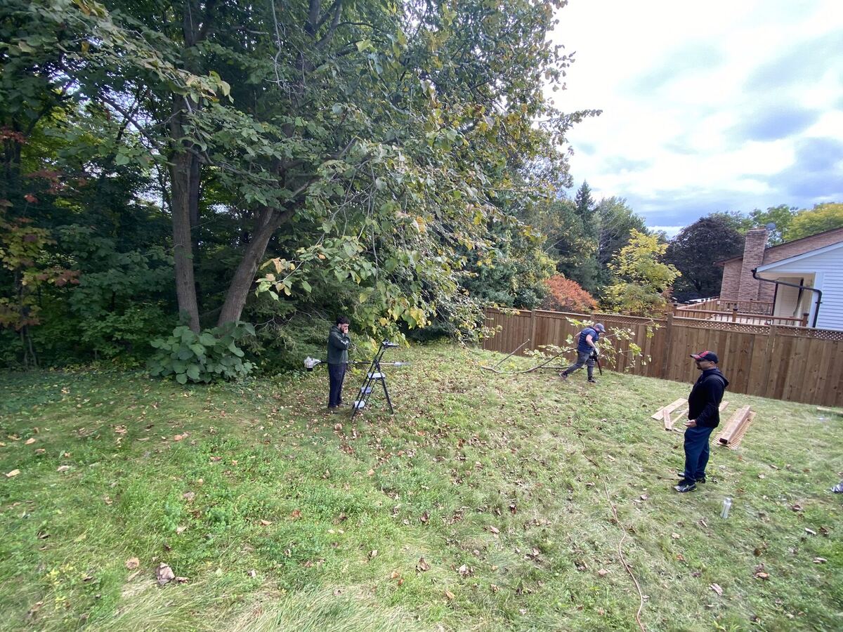 Leaf Cleanup — O'Doherty's Property Services