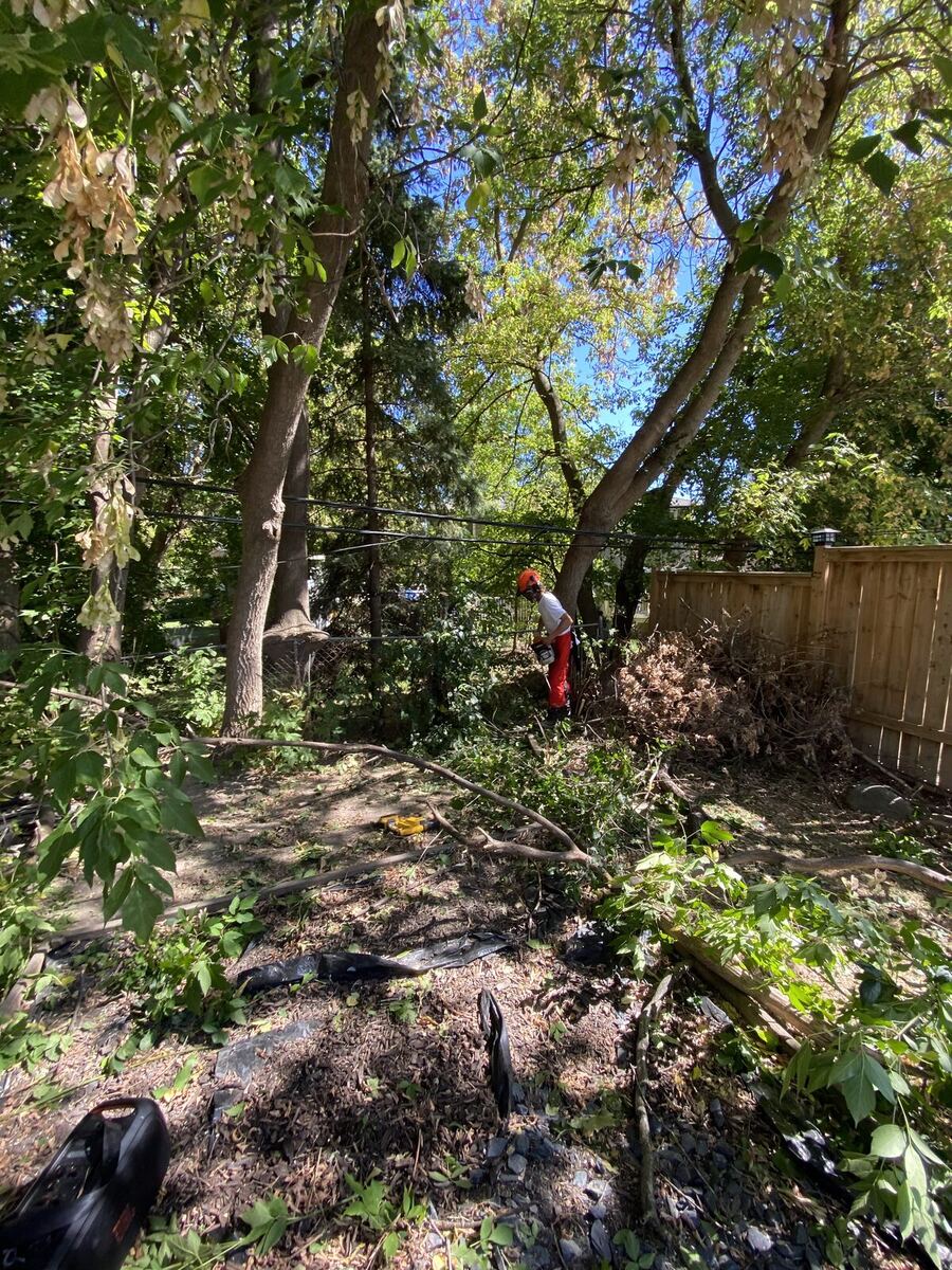 End-of-Season — O'Doherty's Property Services