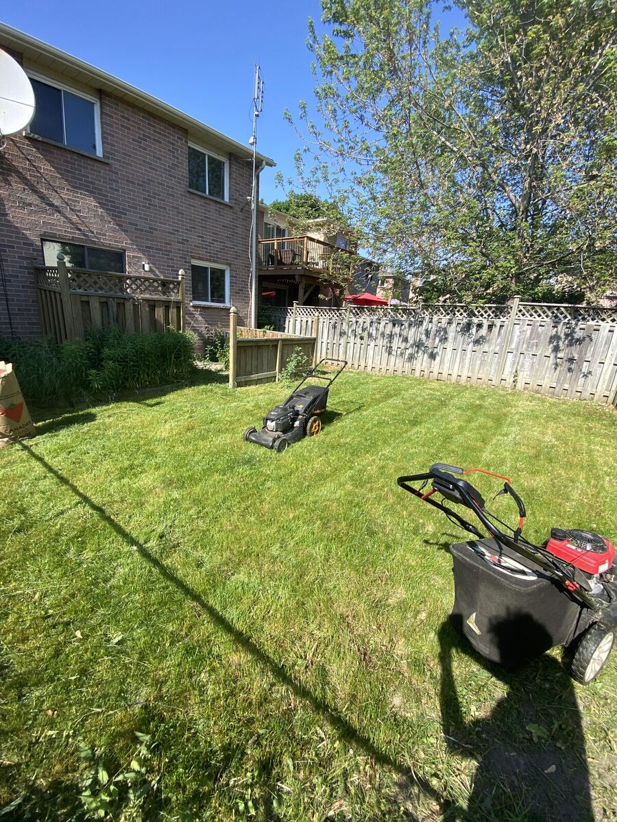 Spring Mow — O'Doherty's Property Services