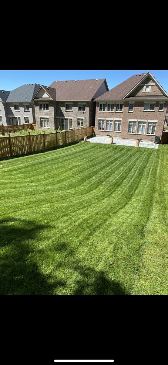 First Green — O'Doherty's Property Services