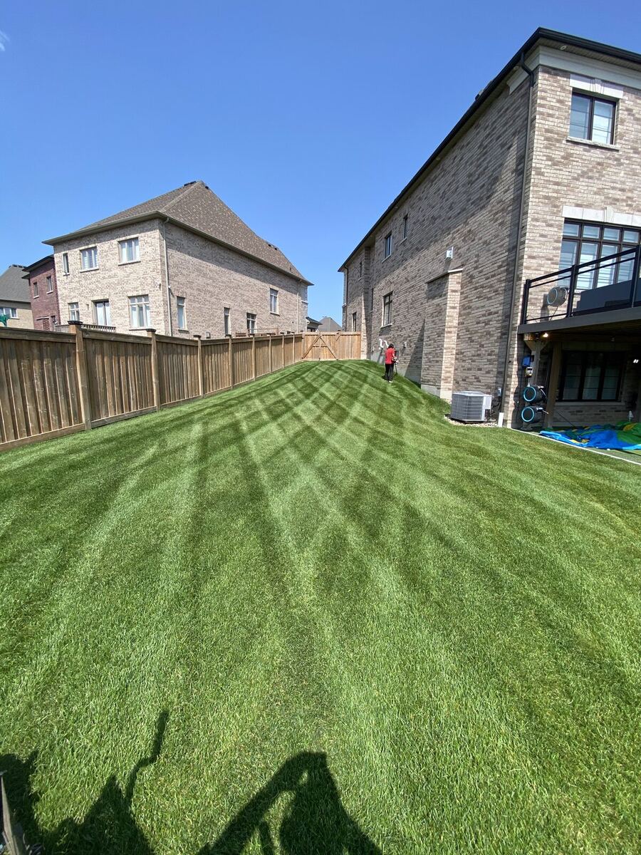 Striped Lawn — O'Doherty's Property Services