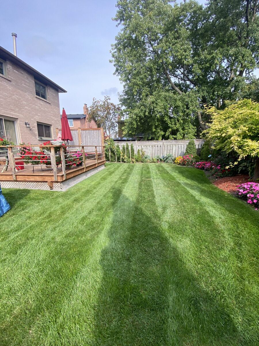 Lawn & Gardens — O'Doherty's Property Services