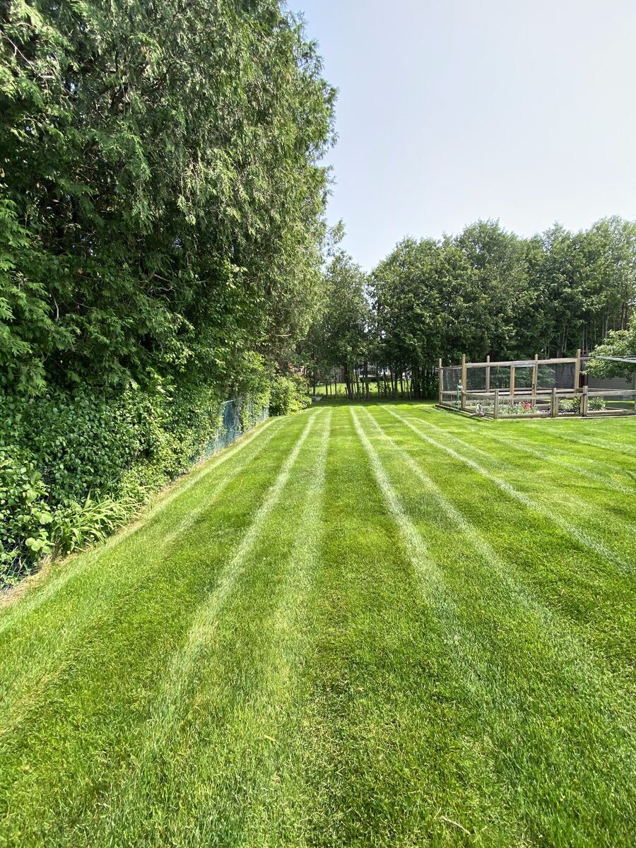 Pristine Stripes — O'Doherty's Property Services
