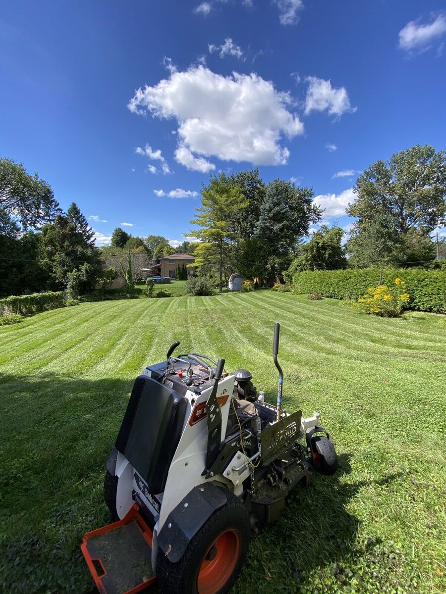 Commercial Mow — O'Doherty's Property Services