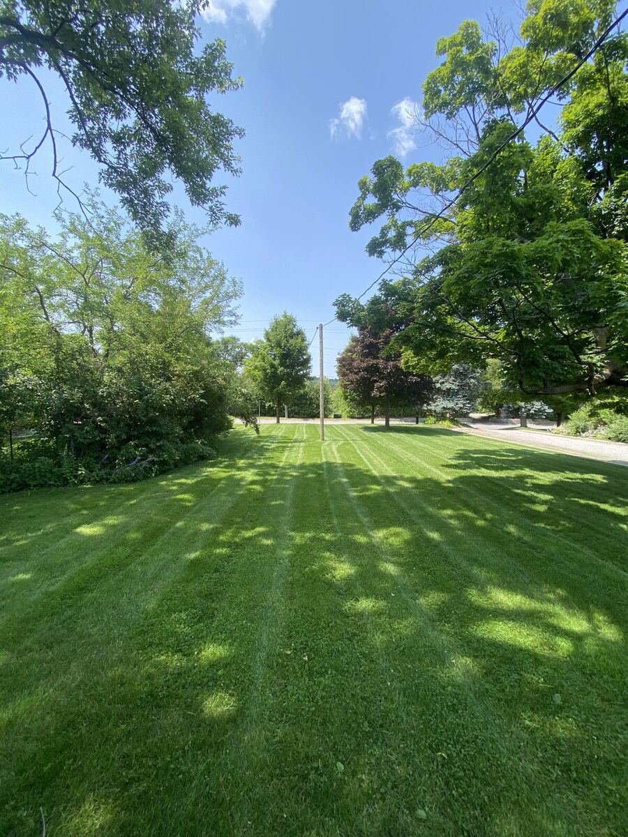 Estate Lawn — O'Doherty's Property Services