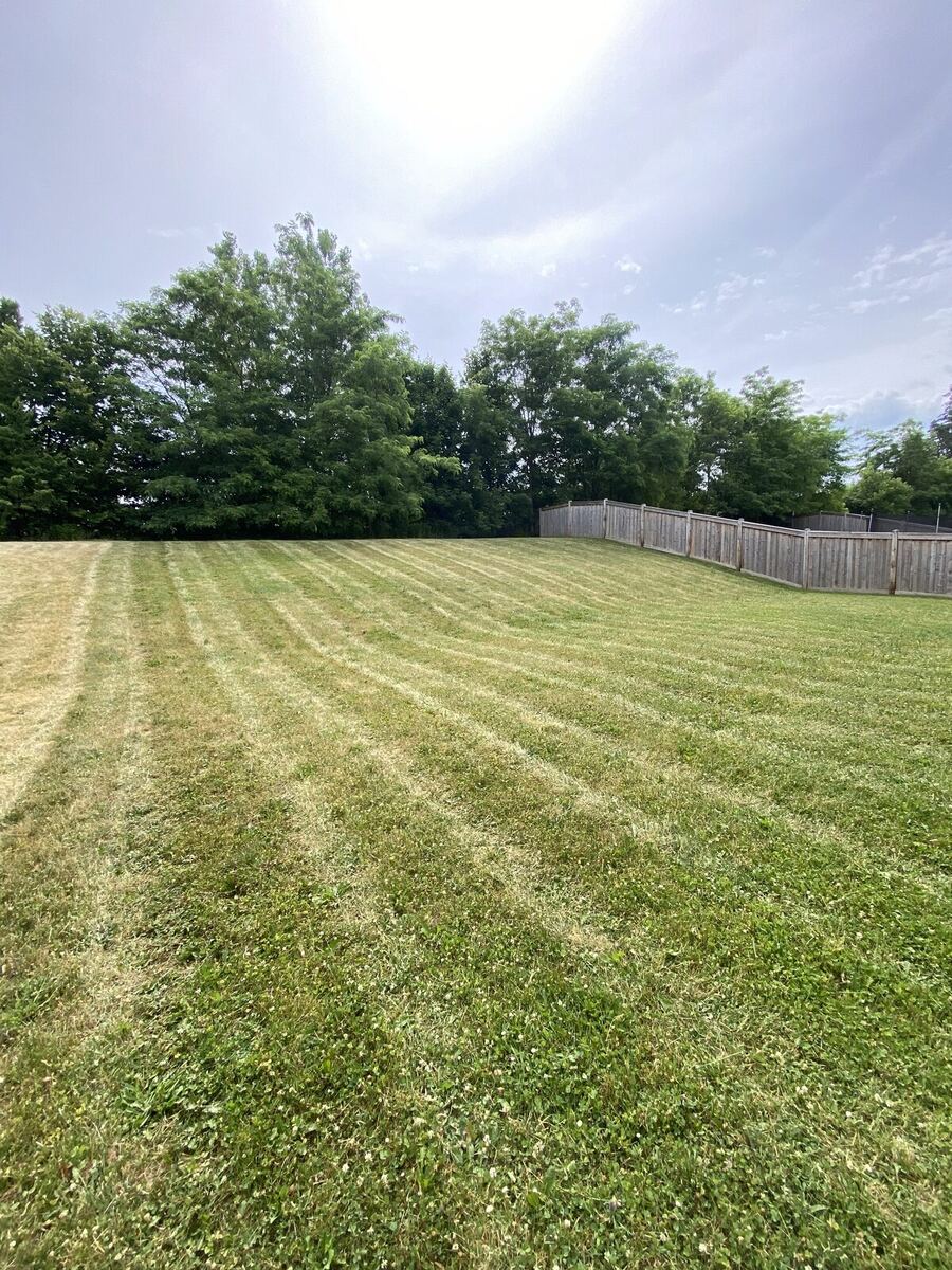 Open Field — O'Doherty's Property Services