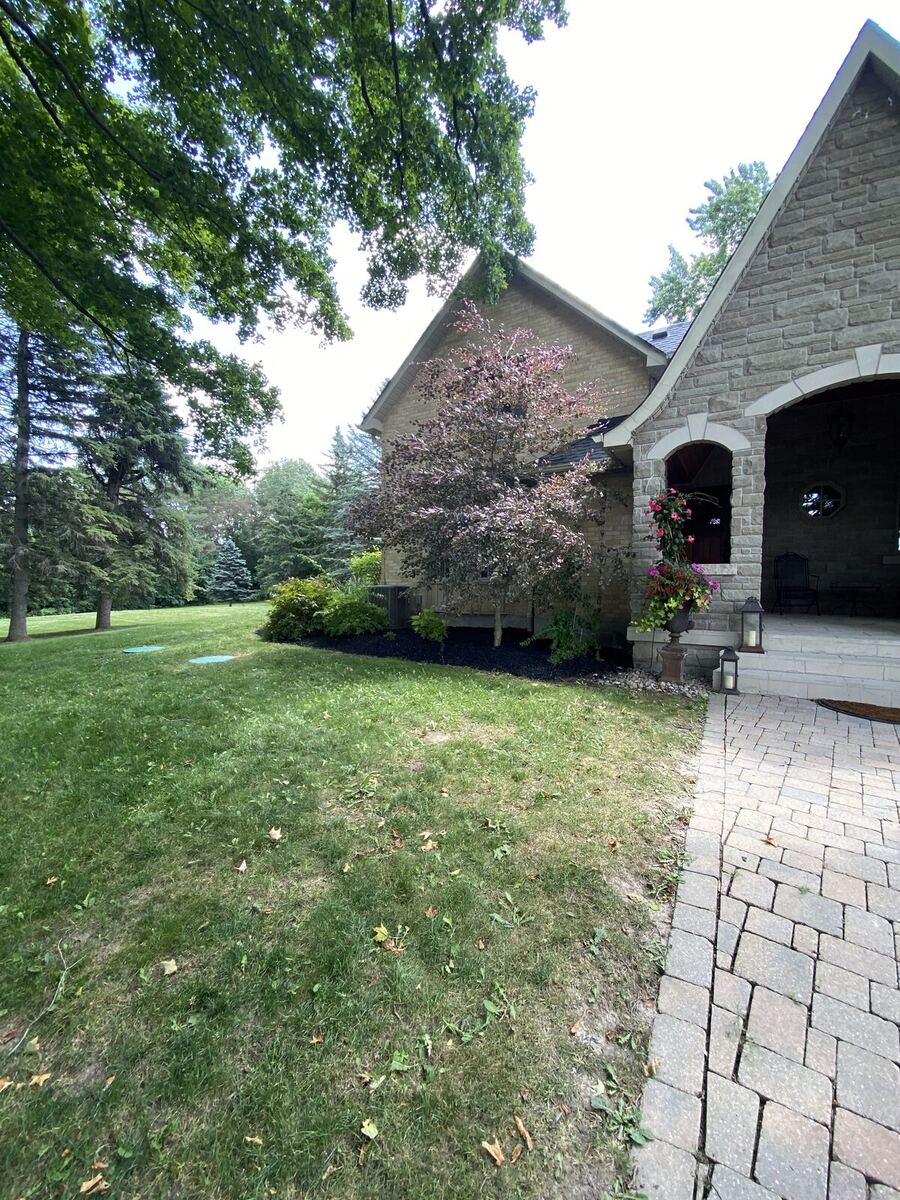 Curb Appeal — O'Doherty's Property Services