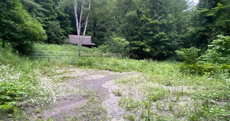 Before: Overgrown Lot — O'Doherty's Property Services