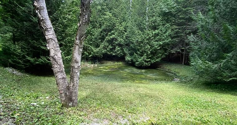After: Pond Restored — O'Doherty's Property Services