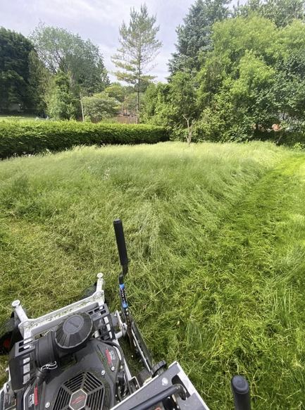 Reclaiming the Lawn — O'Doherty's Property Services