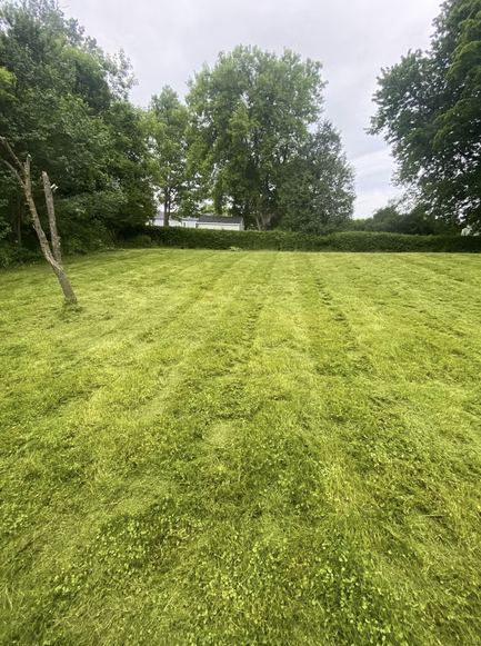 Striped & Finished — O'Doherty's Property Services