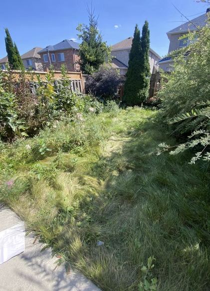 Garden Path Cleanup — O'Doherty's Property Services